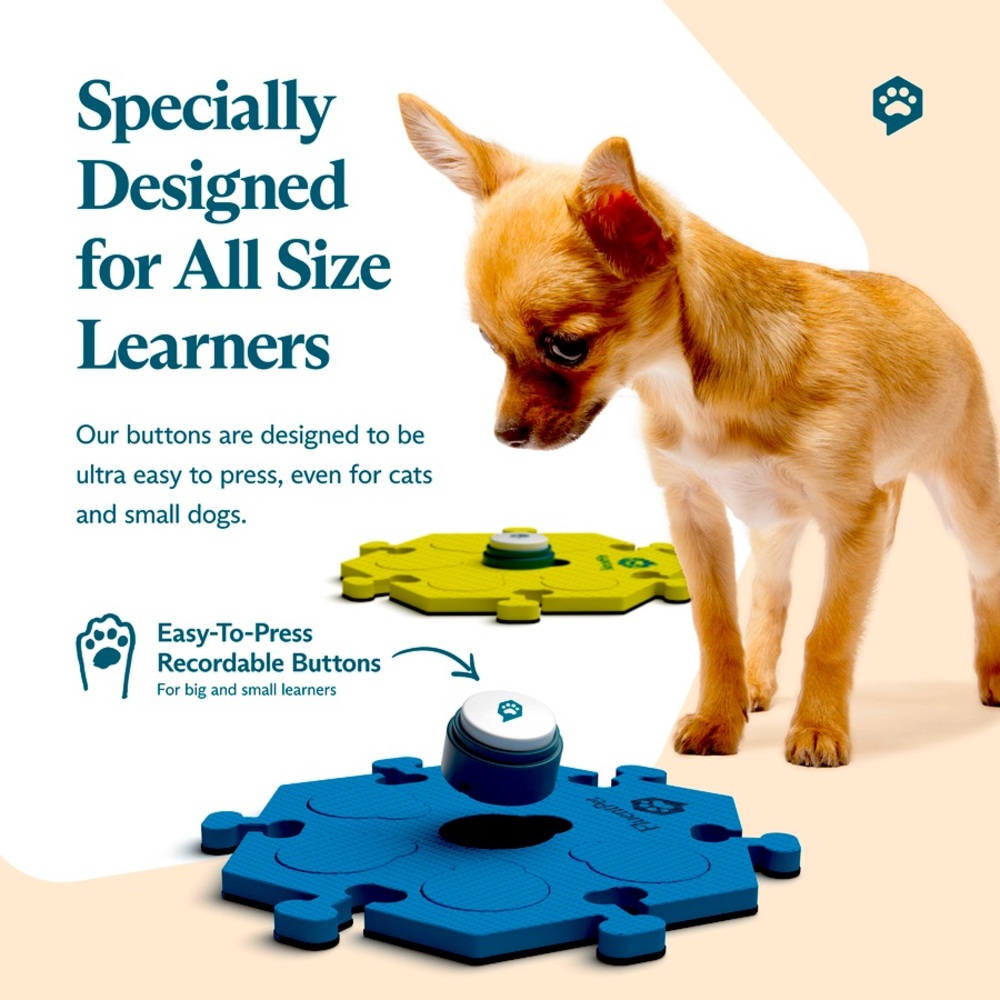 FluentPet Basic Vocab Training Set